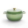 Cast iron 5QT cooking pot - Gradient green - includes two silicone gloves - Enamel pot